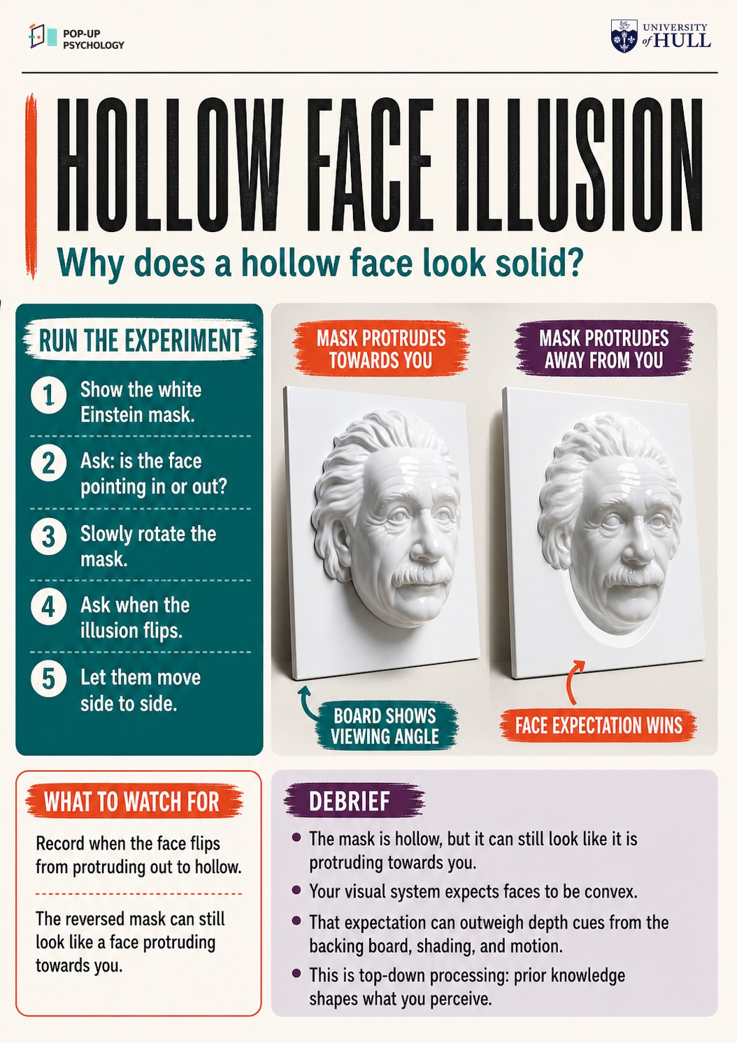 Hollow Face Illusion activity guide