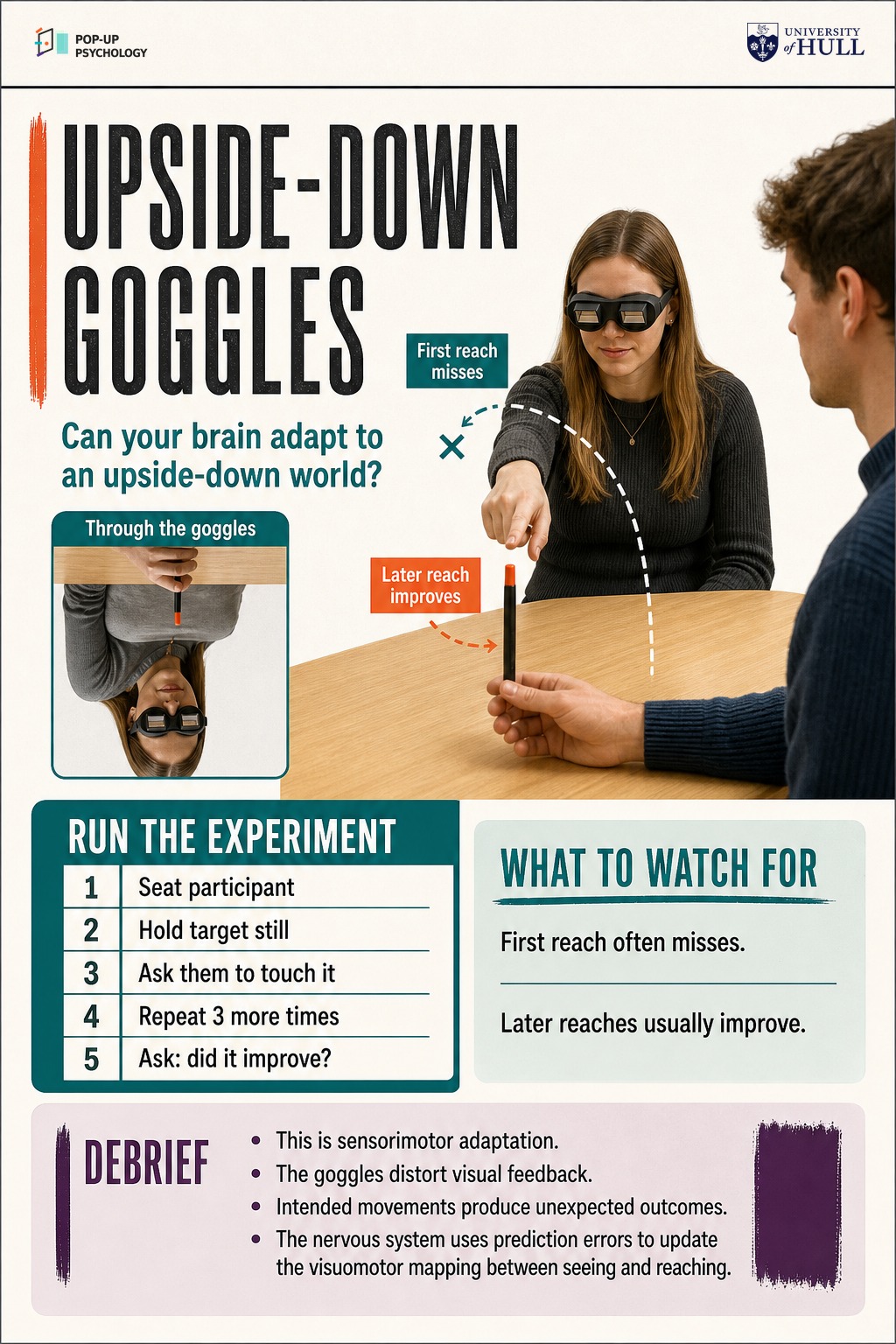 Upside-Down Goggles activity guide